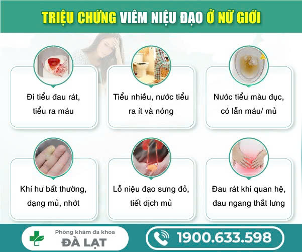 Hình ảnh minh họa