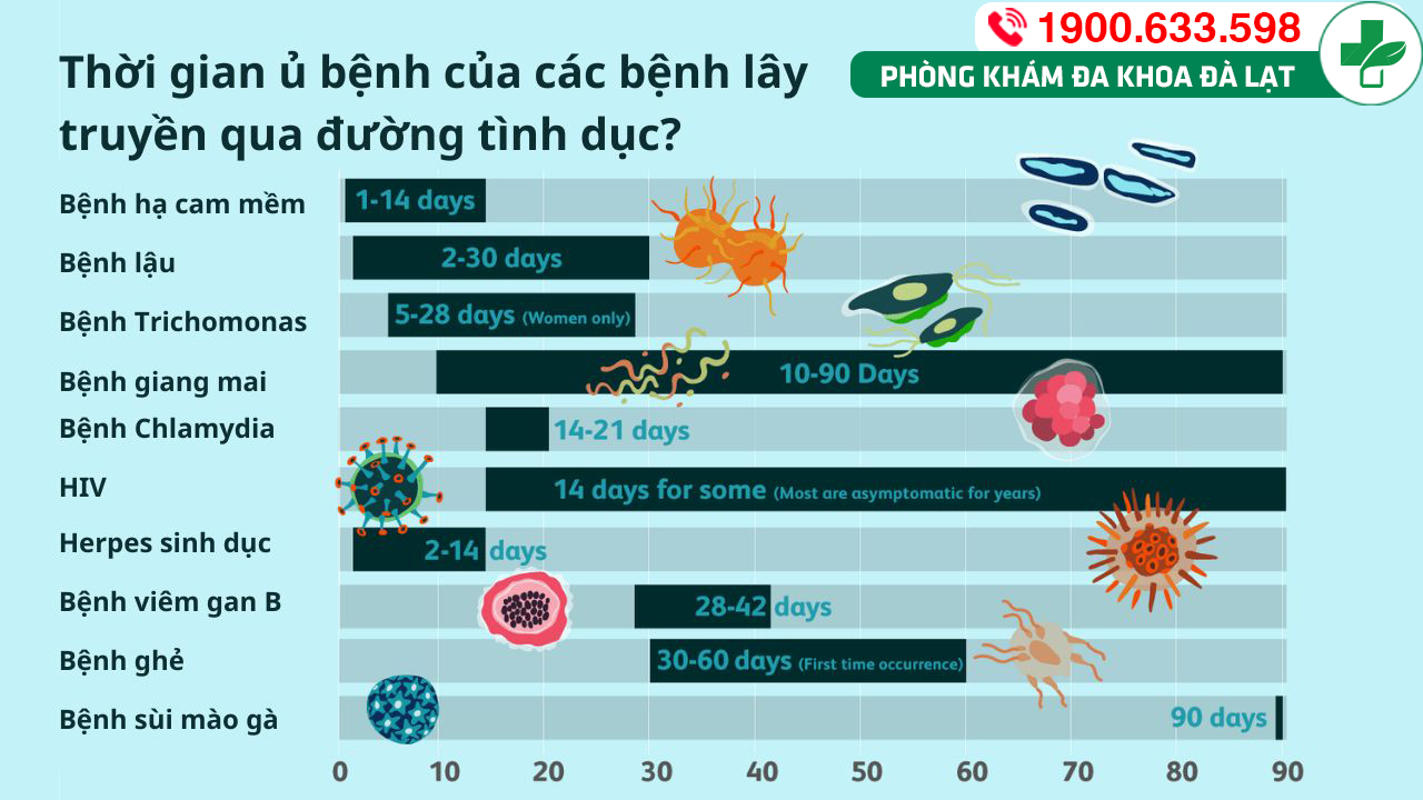 Hình ảnh minh họa