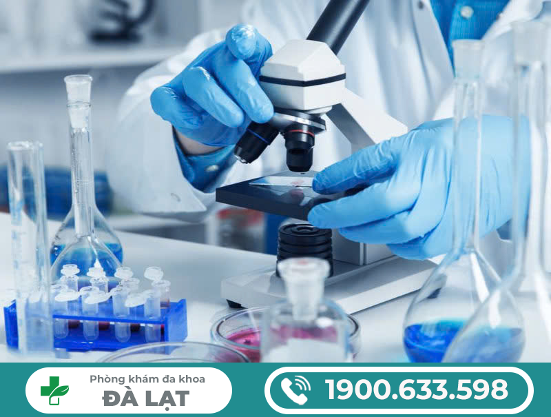 Hình ảnh minh họa