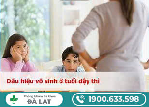 Hình ảnh minh họa