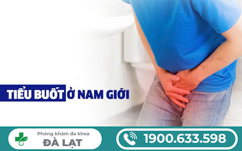 Hình ảnh minh họa