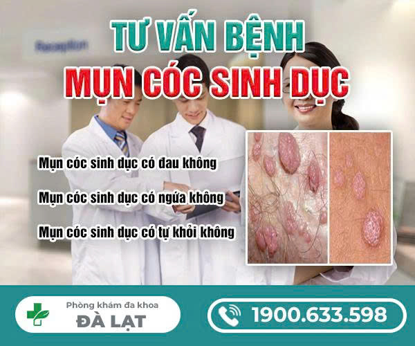 Hình ảnh minh họa