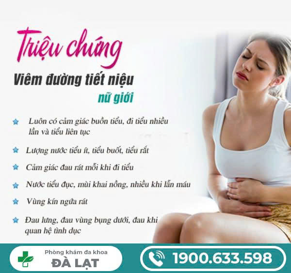 Hình ảnh minh họa