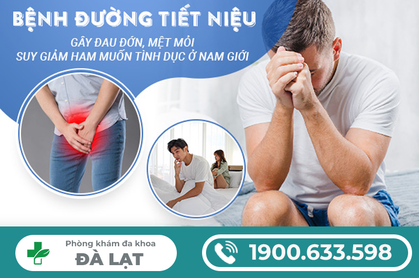 Hình ảnh minh họa