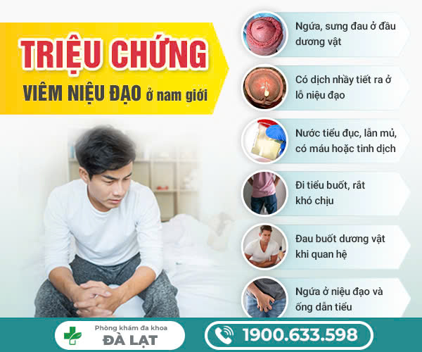 Hình ảnh minh họa