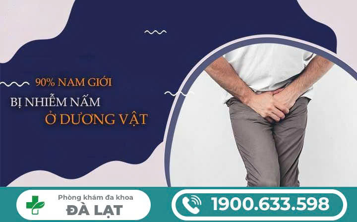 Hình ảnh minh họa