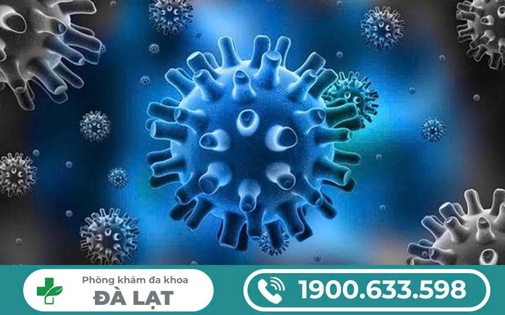 Hình ảnh minh họa